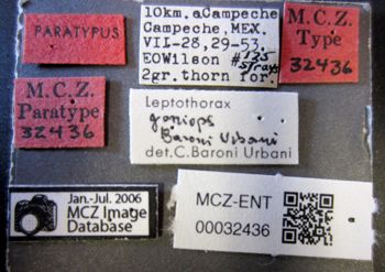 Media type: image;   Entomology 32436 Aspect: labels